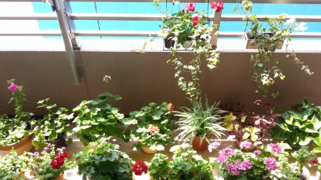 20140630_095943