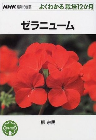 ゼラニウム NHK