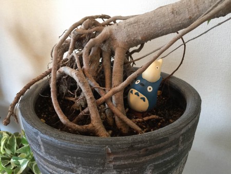 トトロ プランター